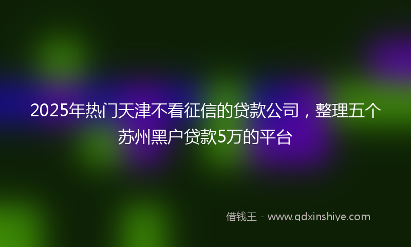 2025年热门天津不看征信的贷款公司，整理五个苏州黑户贷款5万的平台