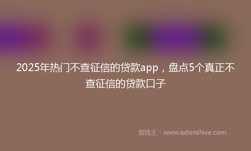 2025年热门不查征信的贷款app，盘点5个真正不查征信的贷款口子