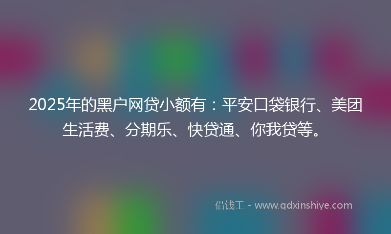 2025年的黑户网贷小额有：平安口袋银行、美团生活费、分期乐、快贷通、你我贷等。