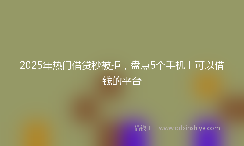 2025年热门借贷秒被拒，盘点5个手机上可以借钱的平台
