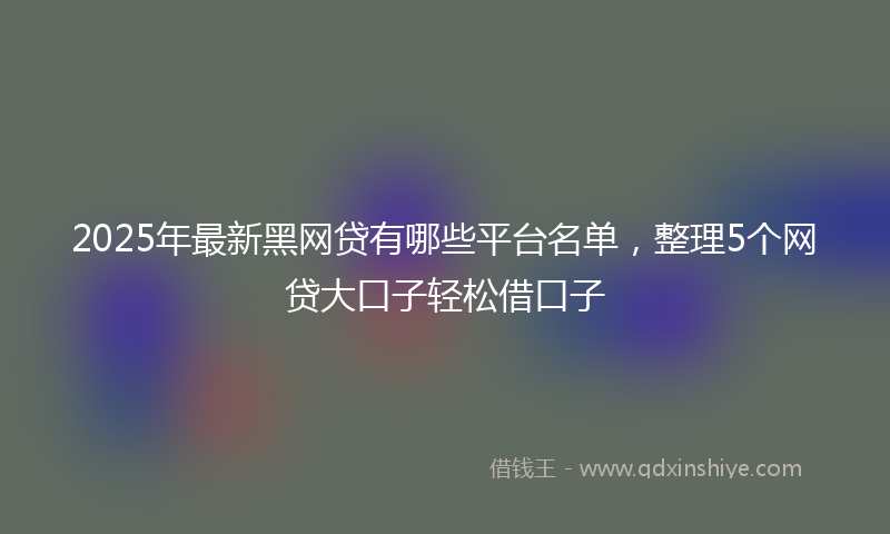2025年最新黑网贷有哪些平台名单，整理5个网贷大口子轻松借口子