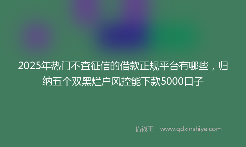 2025年热门不查征信的借款正规平台有哪些，归纳五个双黑烂户风控能下款5000口子