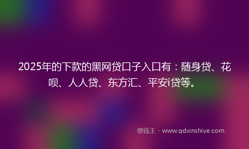 2025年的下款的黑网贷口子入口有：随身贷、花呗、人人贷、东方汇、平安i贷等。
