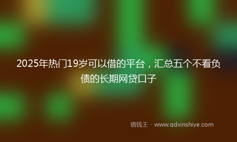2025年热门19岁可以借的平台，汇总五个不看负债的长期网贷口子
