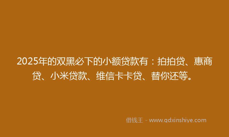 2025年的双黑必下的小额贷款有：拍拍贷、惠商贷、小米贷款、维信卡卡贷、替你还等。