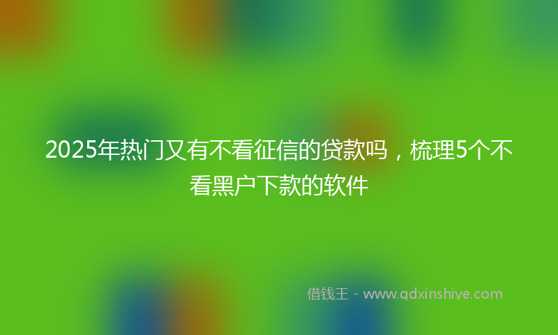 2025年热门又有不看征信的贷款吗，梳理5个不看黑户下款的软件