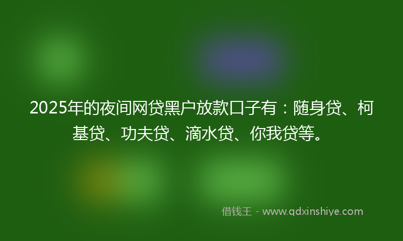 2025年的夜间网贷黑户放款口子有：随身贷、柯基贷、功夫贷、滴水贷、你我贷等。