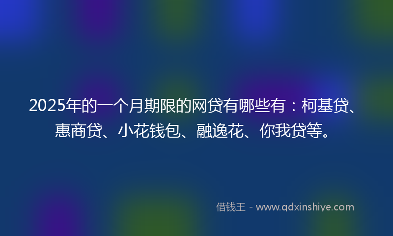 2025年的一个月期限的网贷有哪些有：柯基贷、惠商贷、小花钱包、融逸花、你我贷等。