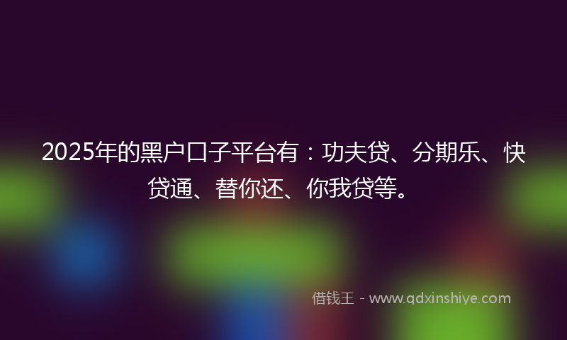 2025年的黑户口子平台有：功夫贷、分期乐、快贷通、替你还、你我贷等。