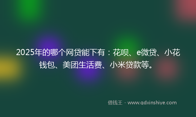 2025年的哪个网贷能下有：花呗、e微贷、小花钱包、美团生活费、小米贷款等。
