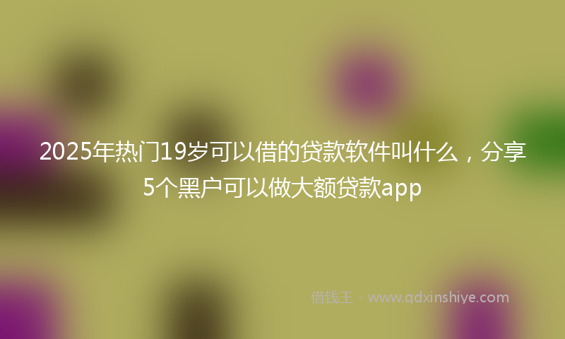 2025年热门19岁可以借的贷款软件叫什么，分享5个黑户可以做大额贷款app