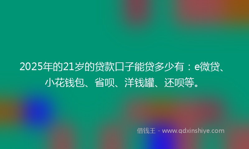 2025年的21岁的贷款口子能贷多少有：e微贷、小花钱包、省呗、洋钱罐、还呗等。
