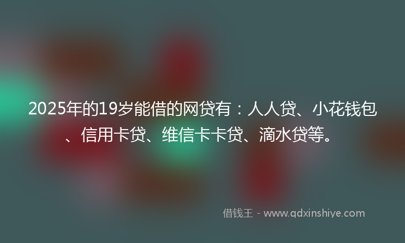 2025年的19岁能借的网贷有：人人贷、小花钱包、信用卡贷、维信卡卡贷、滴水贷等。