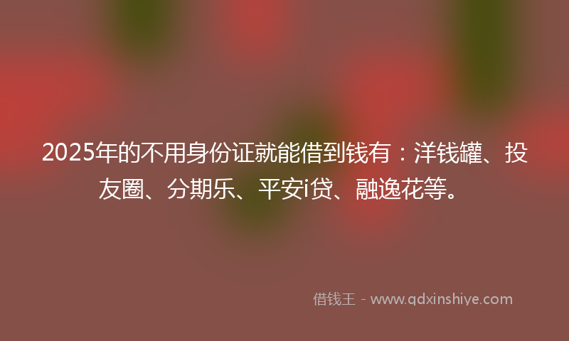 2025年的不用身份证就能借到钱有：洋钱罐、投友圈、分期乐、平安i贷、融逸花等。