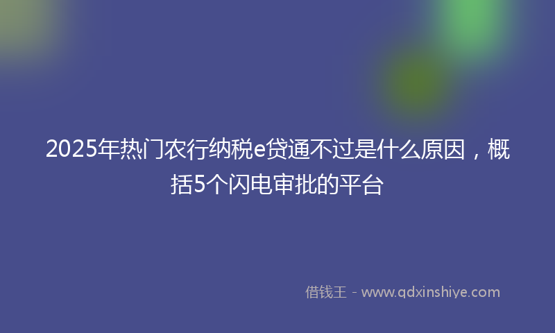 2025年热门农行纳税e贷通不过是什么原因，概括5个闪电审批的平台