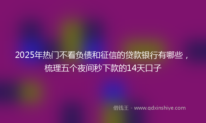 2025年热门不看负债和征信的贷款银行有哪些，梳理五个夜间秒下款的14天口子