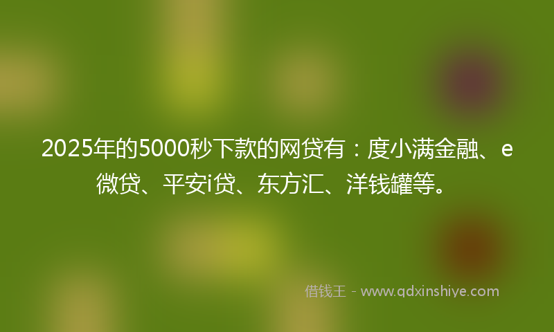 2025年的5000秒下款的网贷有：度小满金融、e微贷、平安i贷、东方汇、洋钱罐等。