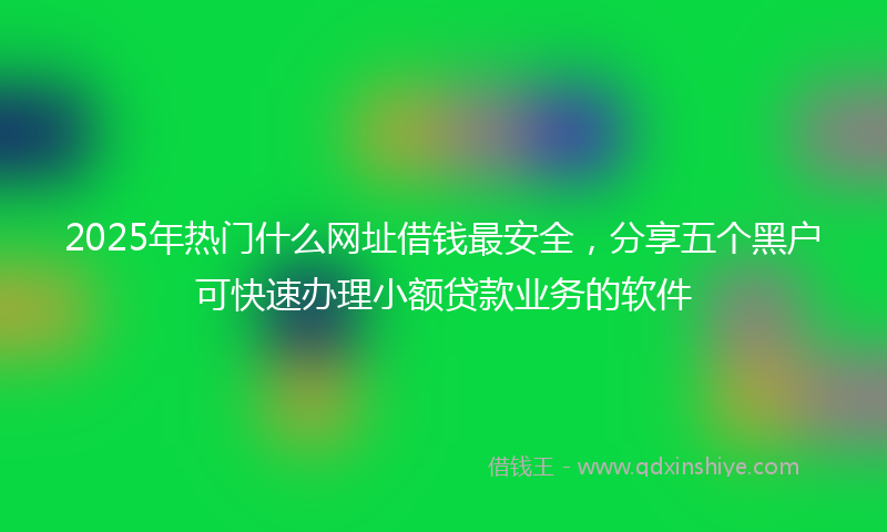 2025年热门什么网址借钱最安全，分享五个黑户可快速办理小额贷款业务的软件