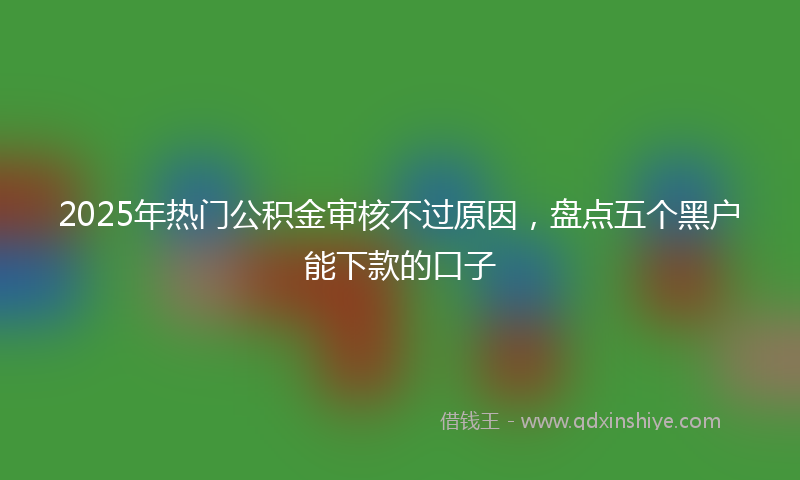 2025年热门公积金审核不过原因，盘点五个黑户能下款的口子