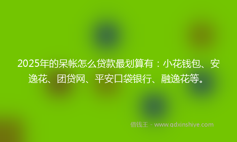 2025年的呆帐怎么贷款最划算有：小花钱包、安逸花、团贷网、平安口袋银行、融逸花等。