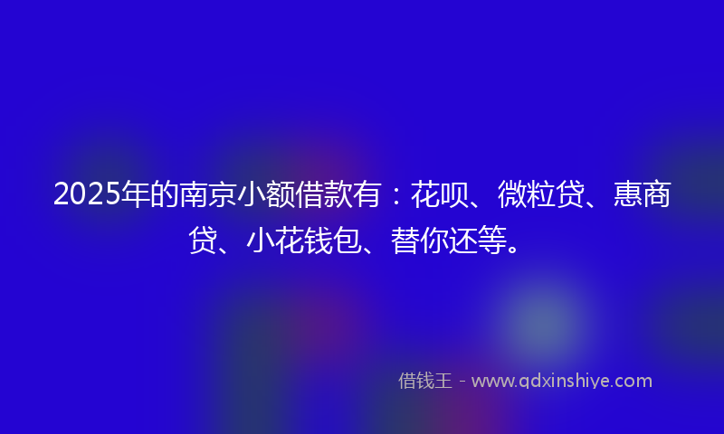 2025年的南京小额借款有：花呗、微粒贷、惠商贷、小花钱包、替你还等。