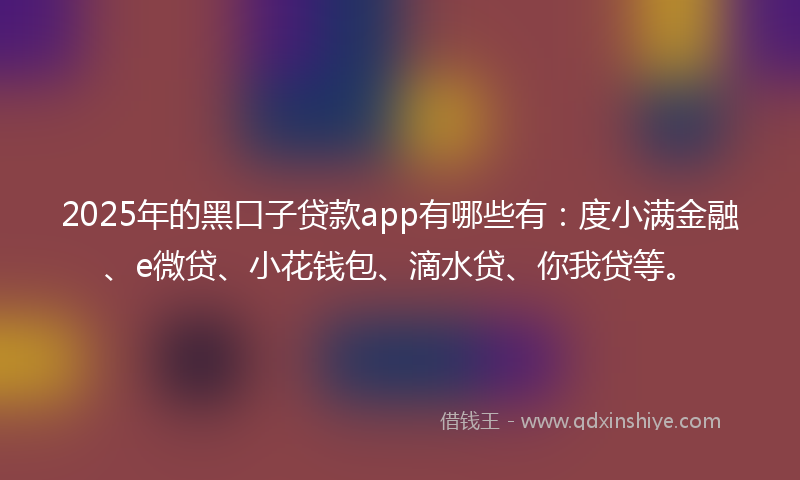 2025年的黑口子贷款app有哪些有：度小满金融、e微贷、小花钱包、滴水贷、你我贷等。