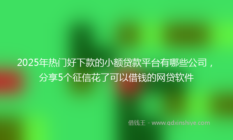 2025年热门好下款的小额贷款平台有哪些公司，分享5个征信花了可以借钱的网贷软件
