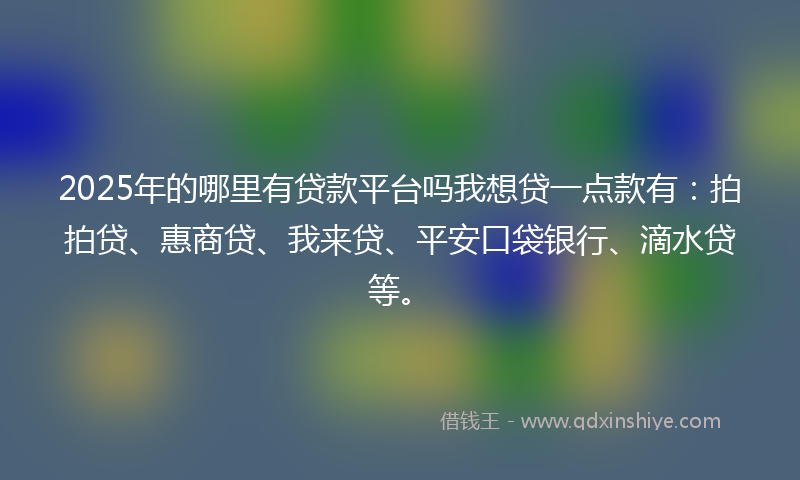 2025年的哪里有贷款平台吗我想贷一点款有：拍拍贷、惠商贷、我来贷、平安口袋银行、滴水贷等。