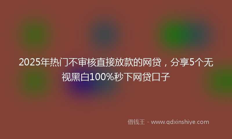 2025年热门不审核直接放款的网贷，分享5个无视黑白100%秒下网贷口子