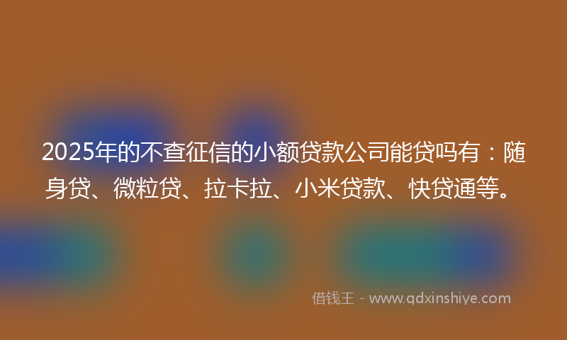 2025年的不查征信的小额贷款公司能贷吗有：随身贷、微粒贷、拉卡拉、小米贷款、快贷通等。