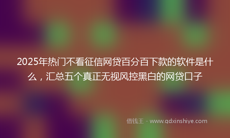 2025年热门不看征信网贷百分百下款的软件是什么，汇总五个真正无视风控黑白的网贷口子
