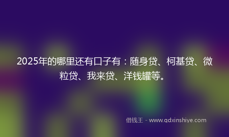 2025年的哪里还有口子有：随身贷、柯基贷、微粒贷、我来贷、洋钱罐等。