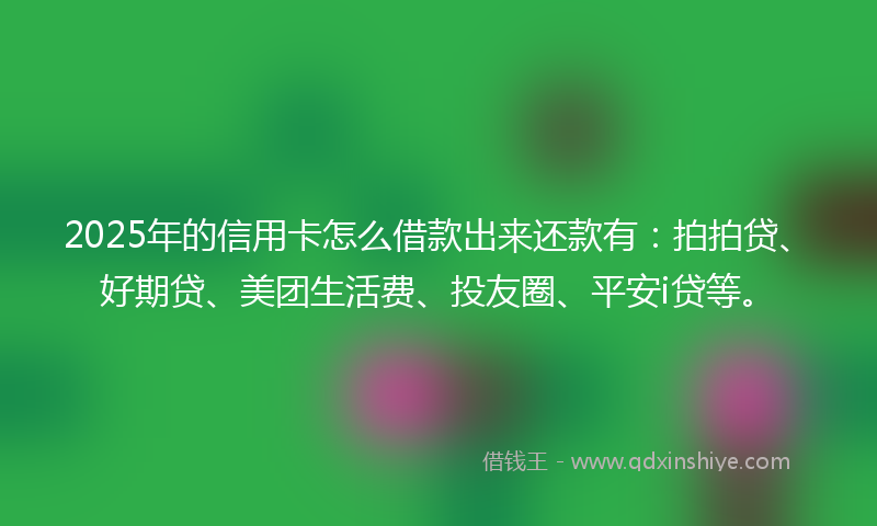 2025年的信用卡怎么借款出来还款有：拍拍贷、好期贷、美团生活费、投友圈、平安i贷等。