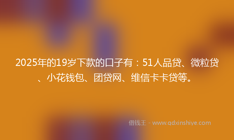 2025年的19岁下款的口子有：51人品贷、微粒贷、小花钱包、团贷网、维信卡卡贷等。