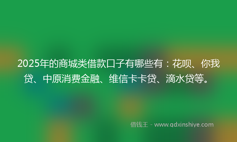 2025年的商城类借款口子有哪些有：花呗、你我贷、中原消费金融、维信卡卡贷、滴水贷等。