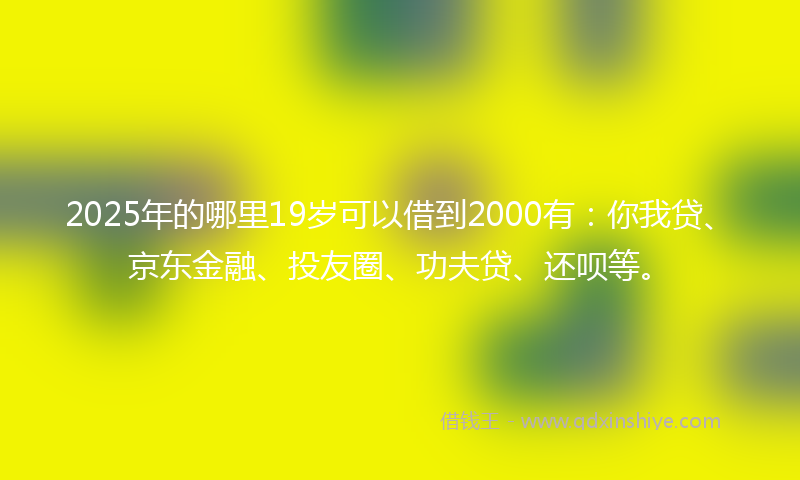 2025年的哪里19岁可以借到2000有：你我贷、京东金融、投友圈、功夫贷、还呗等。