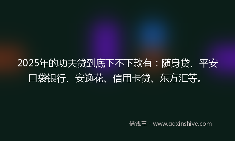 2025年的功夫贷到底下不下款有：随身贷、平安口袋银行、安逸花、信用卡贷、东方汇等。