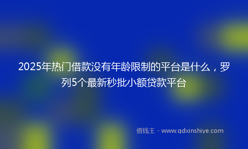 2025年热门借款没有年龄限制的平台是什么，罗列5个最新秒批小额贷款平台