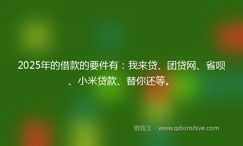 2025年的借款的要件有：我来贷、团贷网、省呗、小米贷款、替你还等。