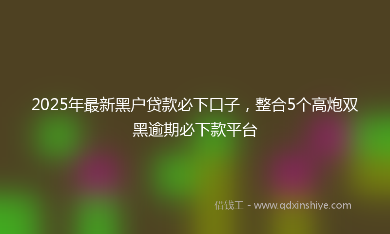 2025年最新黑户贷款必下口子，整合5个高炮双黑逾期必下款平台