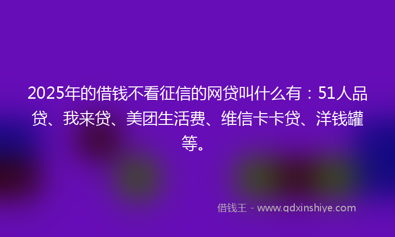 2025年的借钱不看征信的网贷叫什么有：51人品贷、我来贷、美团生活费、维信卡卡贷、洋钱罐等。
