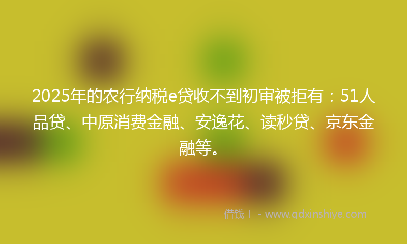 2025年的农行纳税e贷收不到初审被拒有：51人品贷、中原消费金融、安逸花、读秒贷、京东金融等。