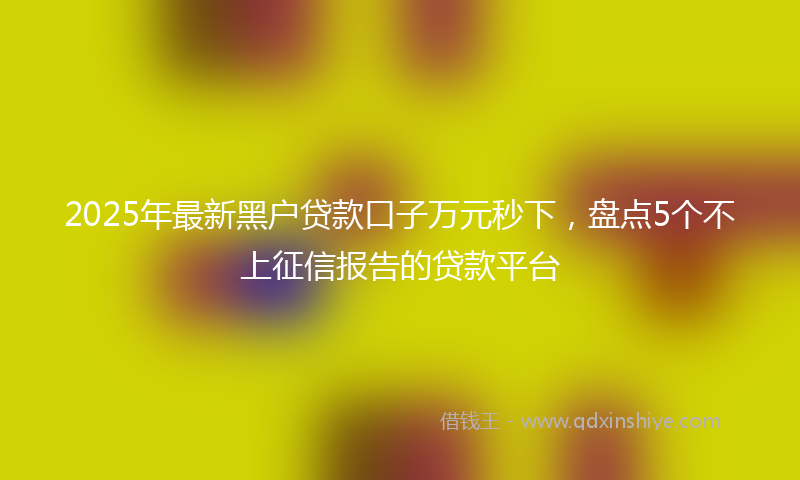 2025年最新黑户贷款口子万元秒下，盘点5个不上征信报告的贷款平台