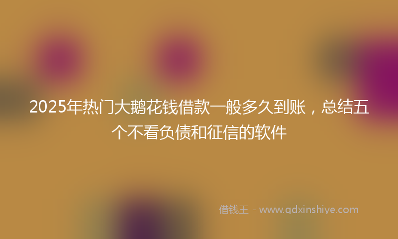 2025年热门大鹅花钱借款一般多久到账，总结五个不看负债和征信的软件