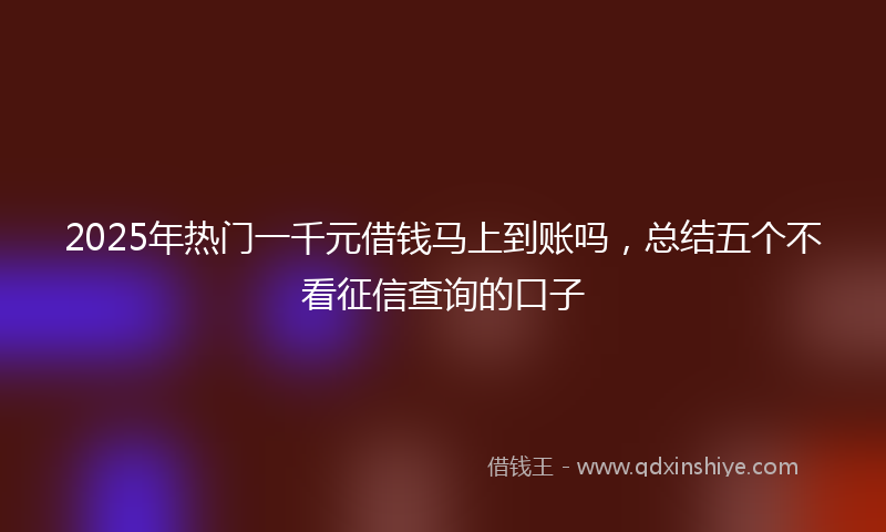 2025年热门一千元借钱马上到账吗，总结五个不看征信查询的口子