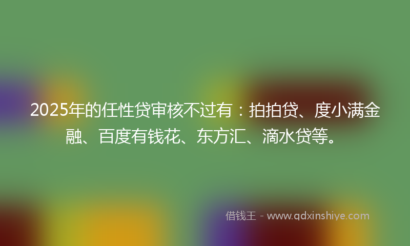 2025年的任性贷审核不过有：拍拍贷、度小满金融、百度有钱花、东方汇、滴水贷等。