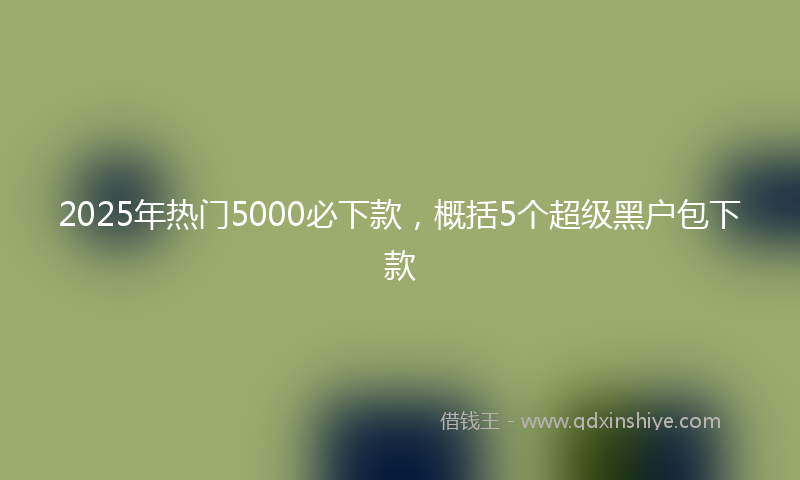 2025年热门5000必下款，概括5个超级黑户包下款