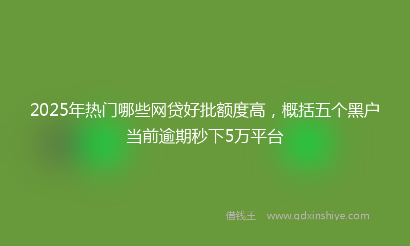 2025年热门哪些网贷好批额度高，概括五个黑户当前逾期秒下5万平台