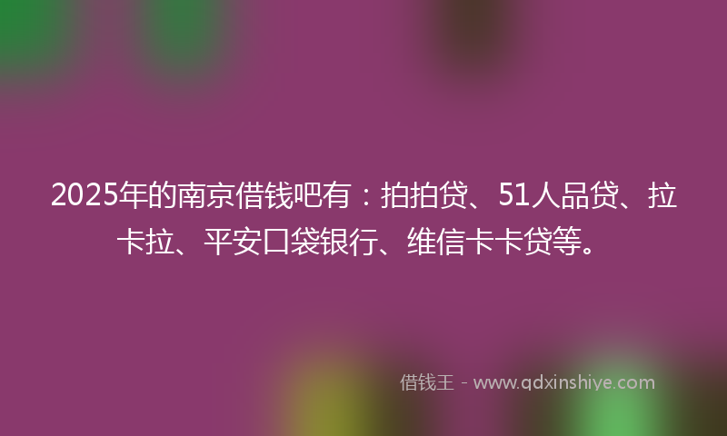 2025年的南京借钱吧有：拍拍贷、51人品贷、拉卡拉、平安口袋银行、维信卡卡贷等。