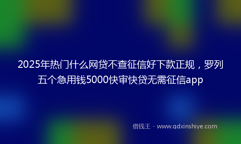 2025年热门什么网贷不查征信好下款正规，罗列五个急用钱5000快审快贷无需征信app
